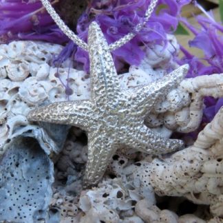 Beach Combing