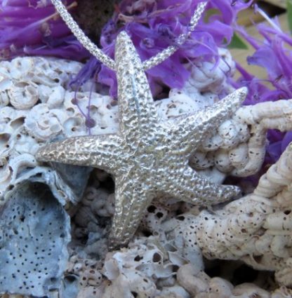 Beach Combing