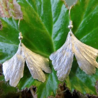 Gingko Leaf