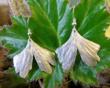 Gingko Leaf