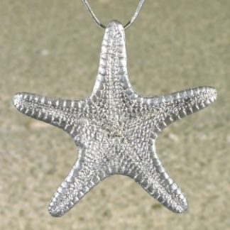 Sea Star