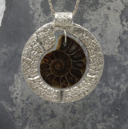 Ammonite Delight