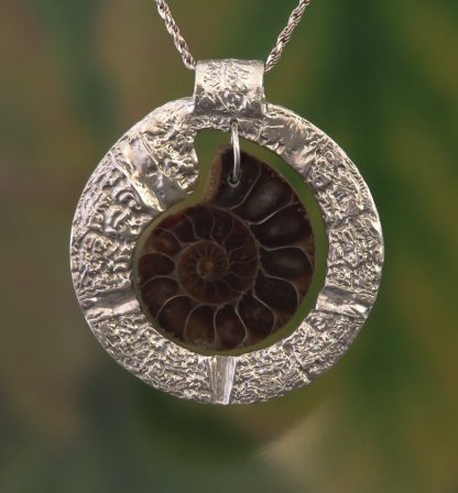 Ammonite Delight - Image 2
