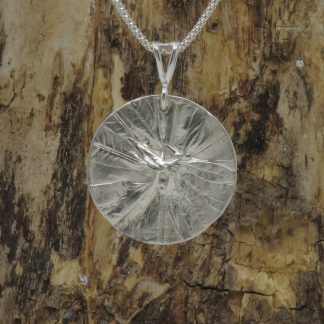 Fossil Medallion