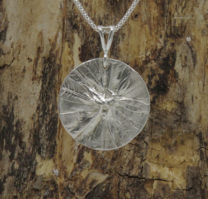 Fossil Medallion