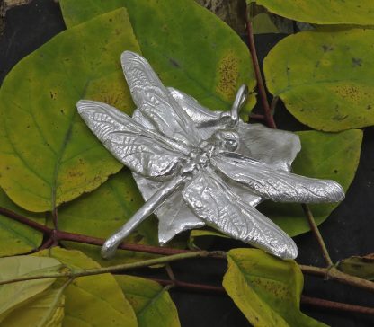 Dragonfly Medley 