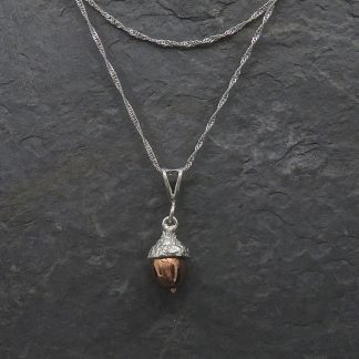 Acorn Sparkle