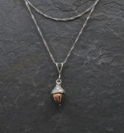 Acorn Sparkle