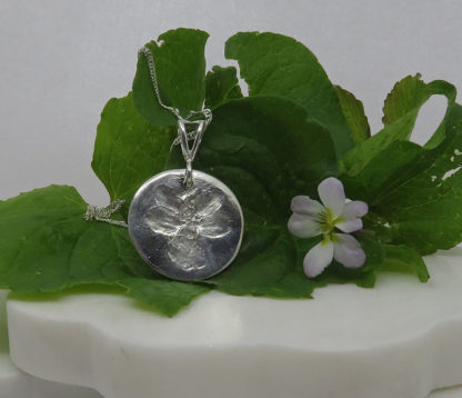 Spring Flower