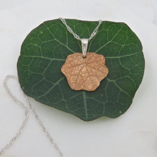 Nasturtium Joy