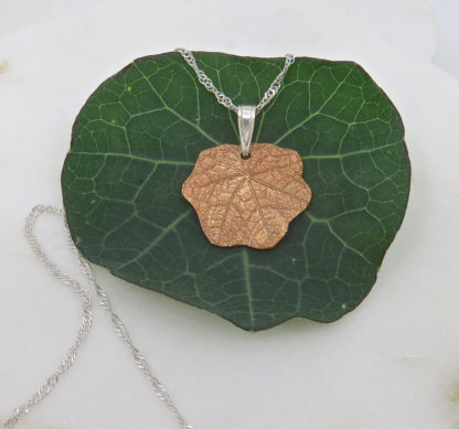 Nasturtium Joy