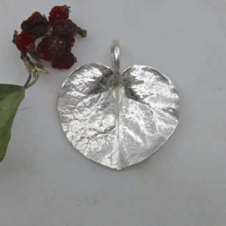 Nature's Heart
