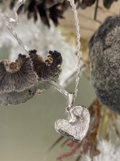 Nature's Heart