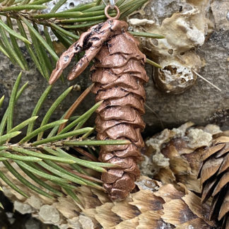 Spruce cone