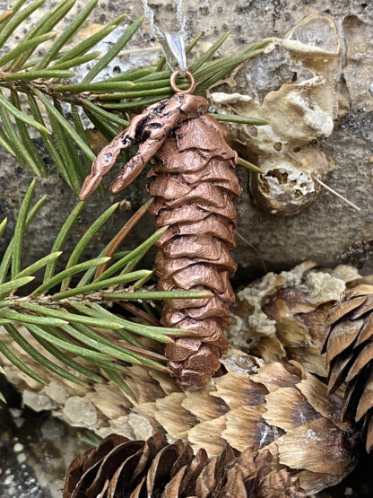 Spruce cone